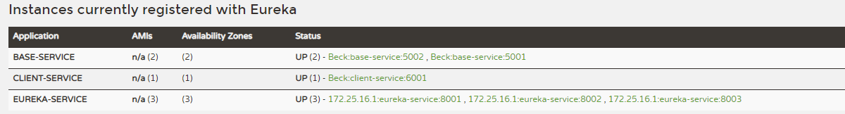 eureka client-service